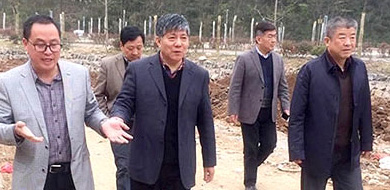 王勝視察我區九十里山水畫廊